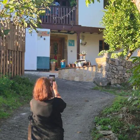 El Sueno Del Viajero Vv-791-as Vivenda Vacacional Cangas de Onis